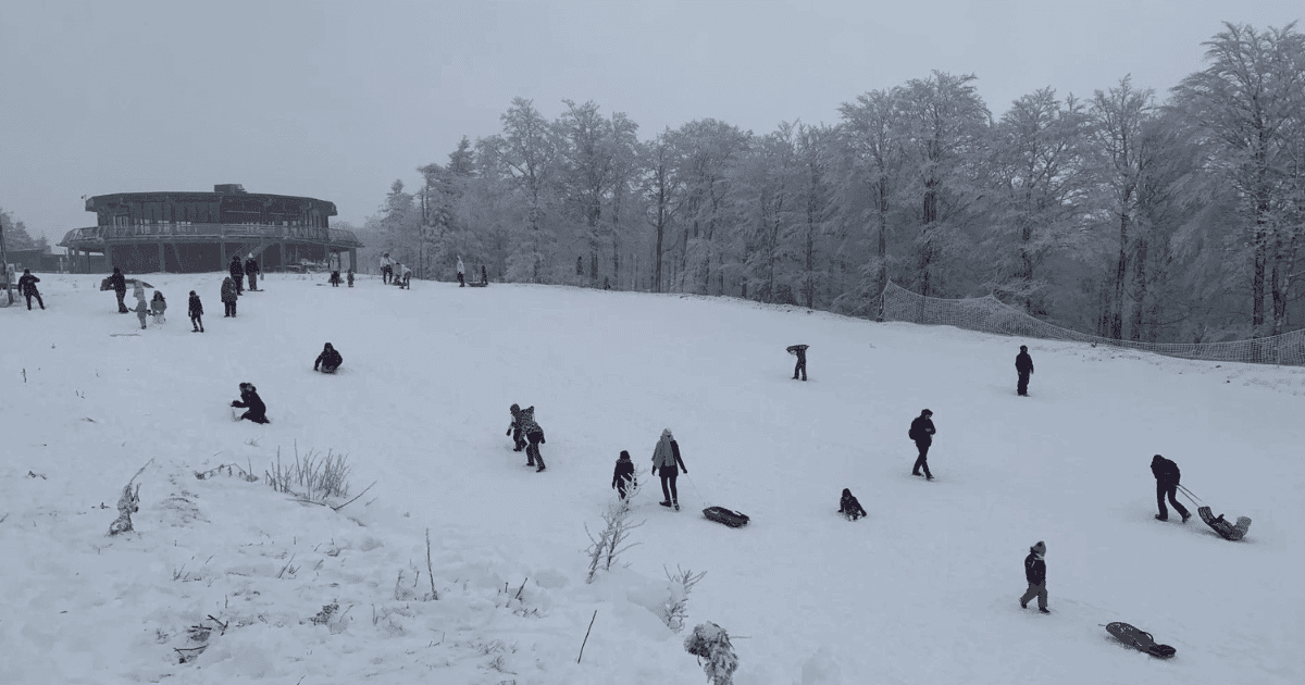 Occitanie Avec Cm De Neige La Station Alti Aigoual Ouvre Son Domaine