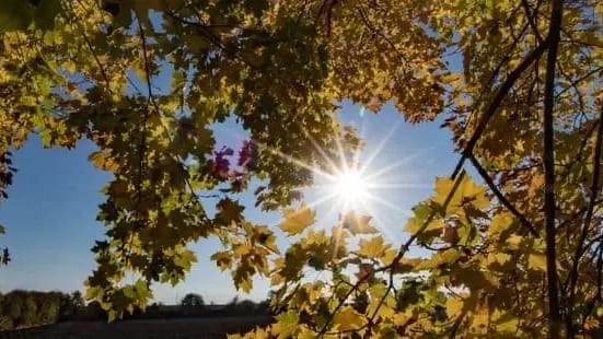 Hérault et Gard : il a fait jusqu’à 22,5°C à l’ombre ce mardi 10 novembre