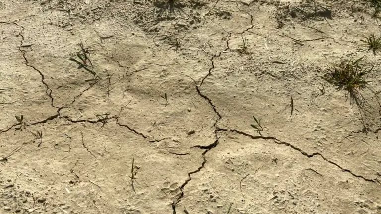 Hérault : la sécheresse persiste par endroits, les mesures de restriction prolongées