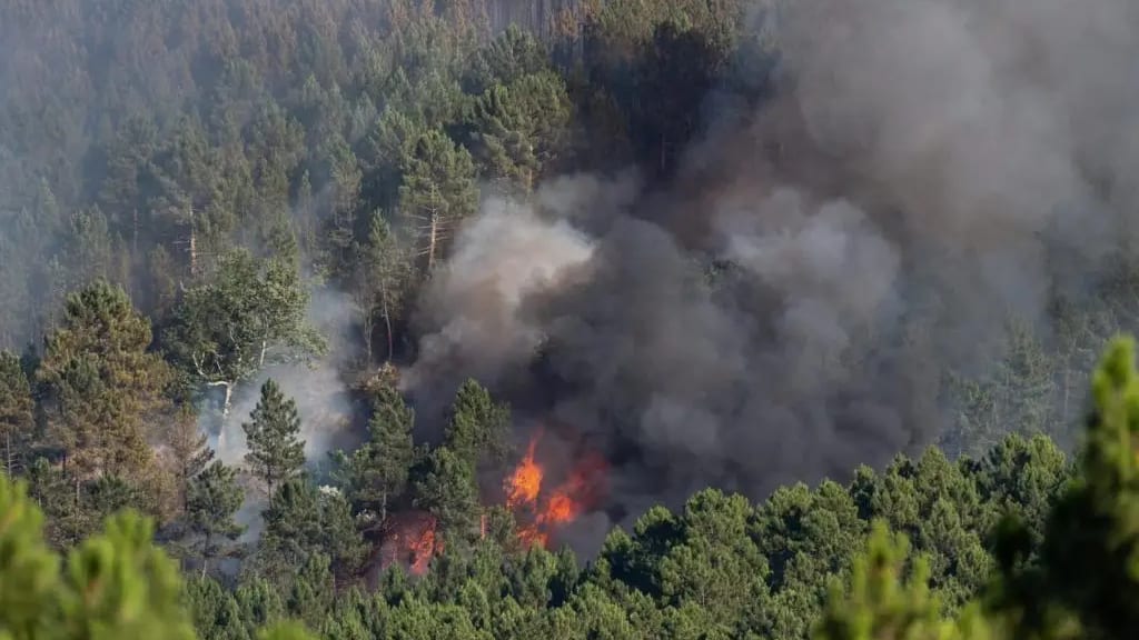 Gard : risque d’incendie très élevé dans une partie du département pour la journée du 2 août
