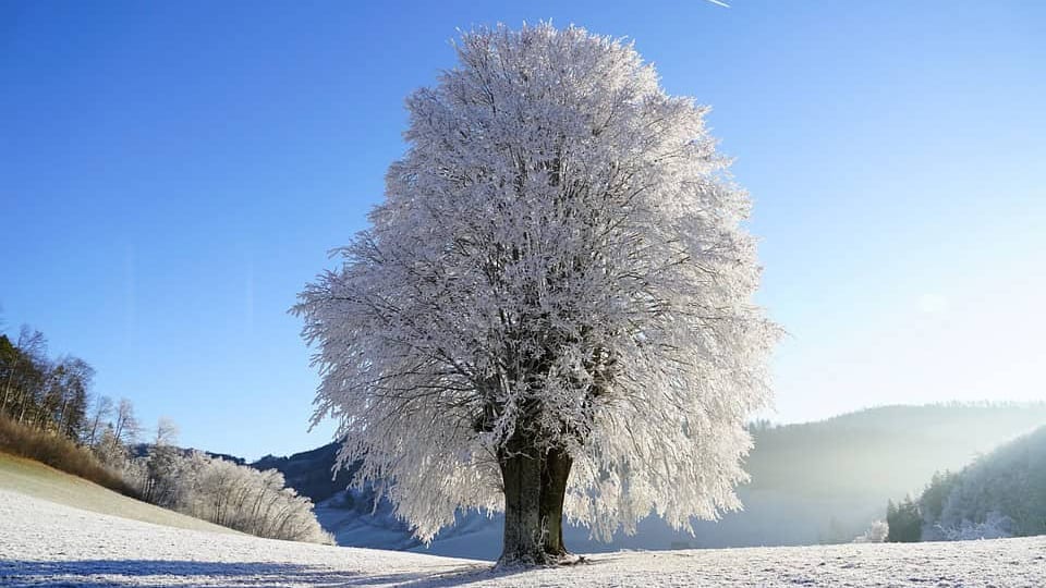 Météo : grand froid et vents forts ces prochains jours en Occitanie