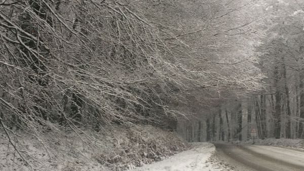 Neige et verglas : les  transports scolaires sont suspendus en Lozère