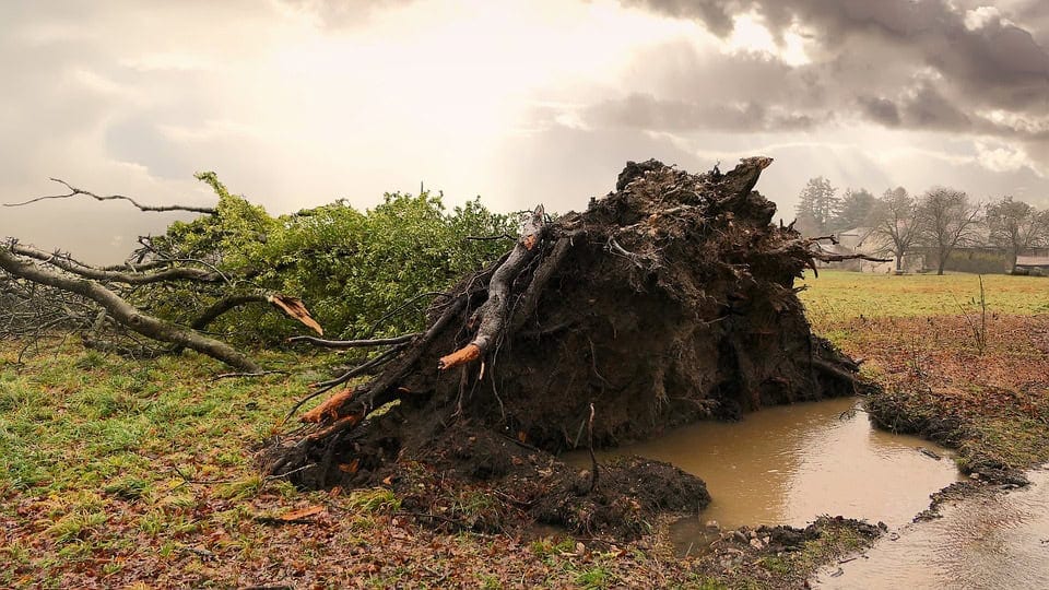 tempête Ouragan Kirk