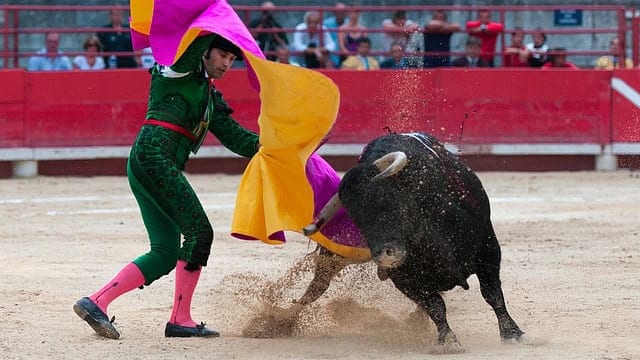 corrida