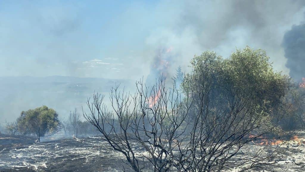 Gard : après plusieurs départs de feu de végétation ce vendredi, les pompiers appellent à la prudence