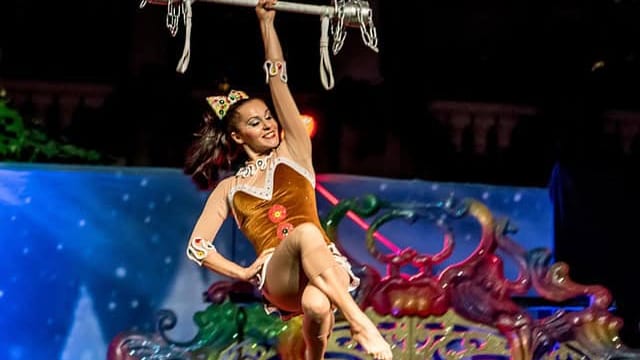 Gard : La médiathèque de Saint-Gilles célèbre le cirque !