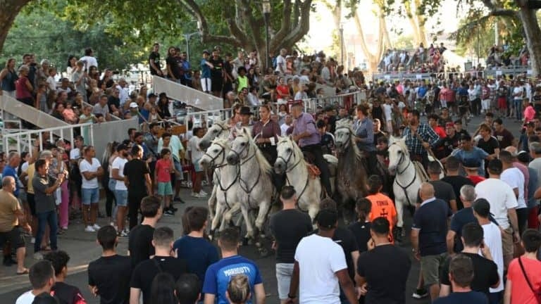 Hérault : après la Pescalune, les festivités continuent à Lunel lors du Revivre