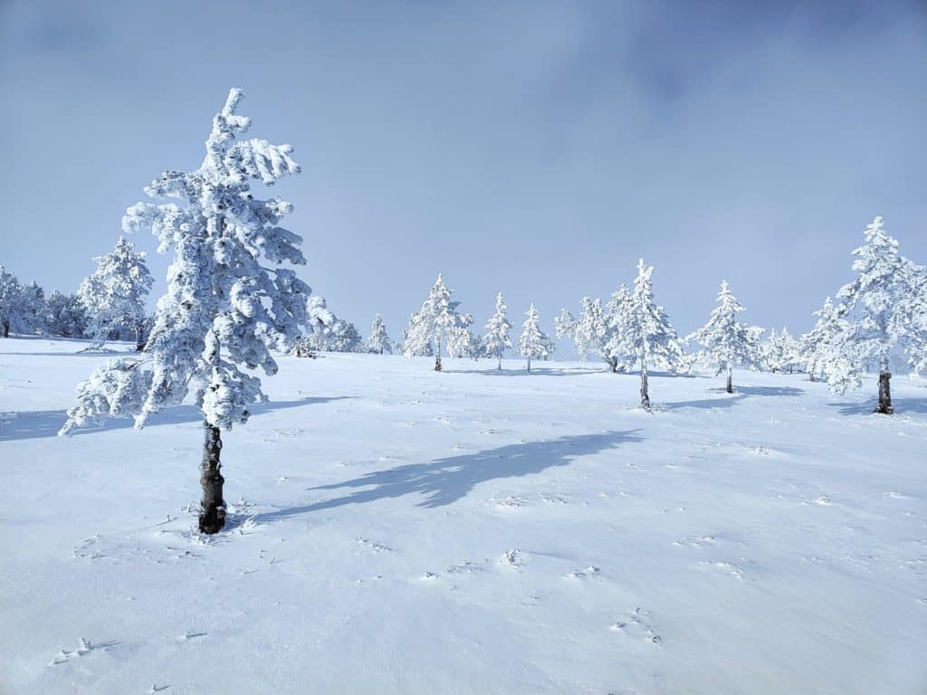 Neige Lozère météo