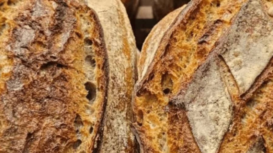 Télévision : voici la « meilleure boulangerie du Gard »