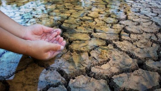 Hérault : de nombreux bassins toujours en crise et en alerte renforcée « sécheresse »
