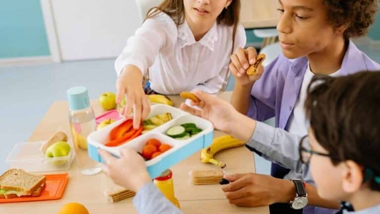 Hérault : une aide du Département pour réduire les frais de cantine dans les collèges