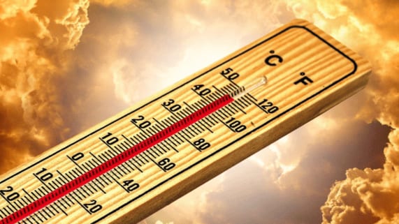 météo canicule