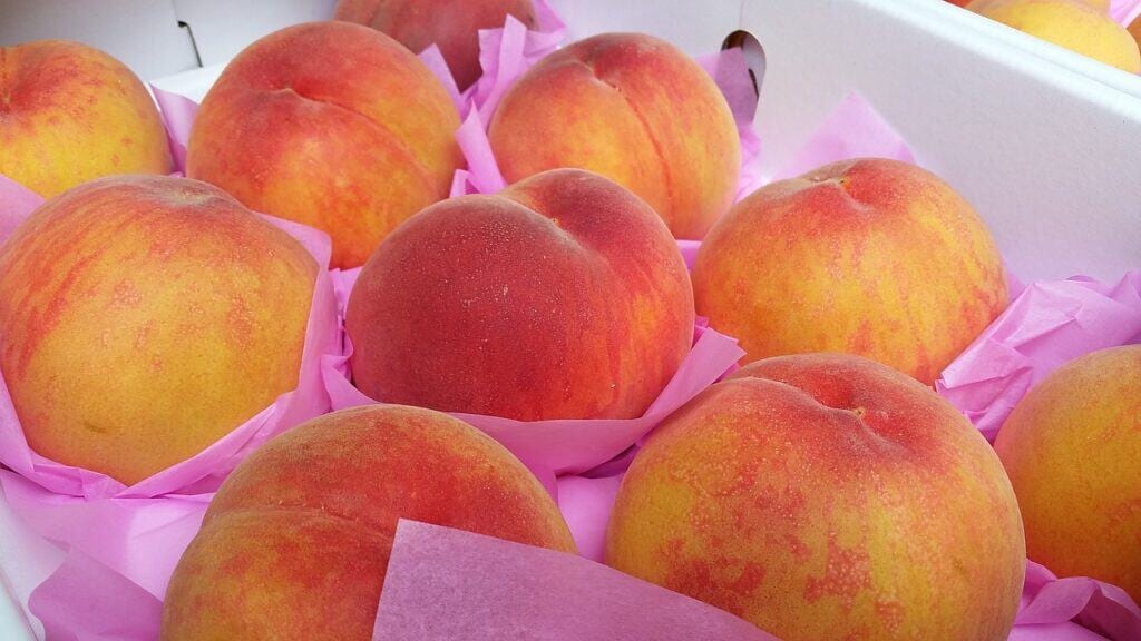 Gard : le calendrier des distributions gratuites de fruits par la Banque alimentaire