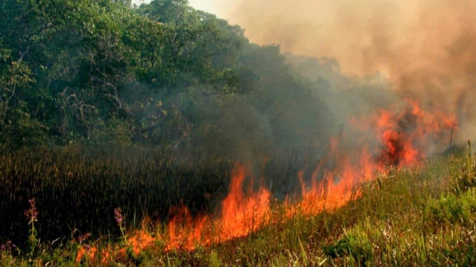 Hérault : malgré les pluies, le risque incendie reste élevé sur une partie du département