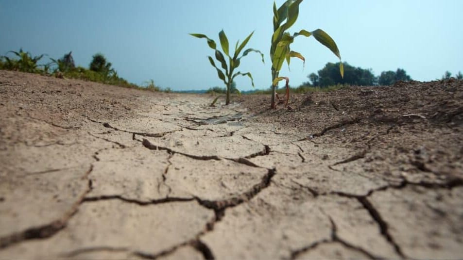 Hérault : sécheresse dans l’ouest du département, la ressource en eau dans un état critique