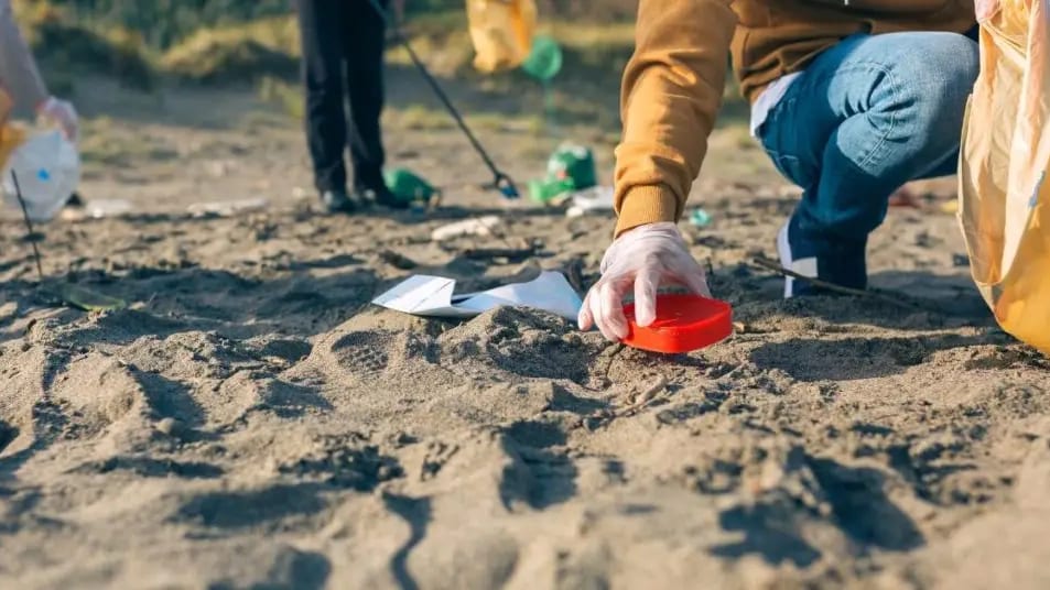 Gard : le Seaquarium du Grau-du-Roi se mobilise pour le nettoyage de la planète