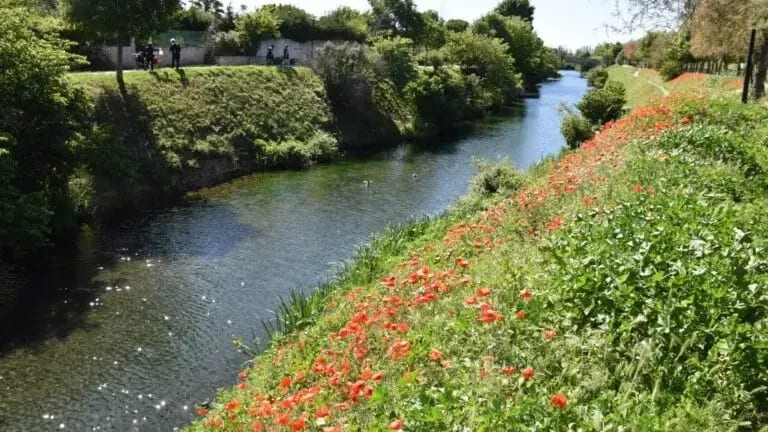 Hérault : une sortie gratuite au Canal de Lunel