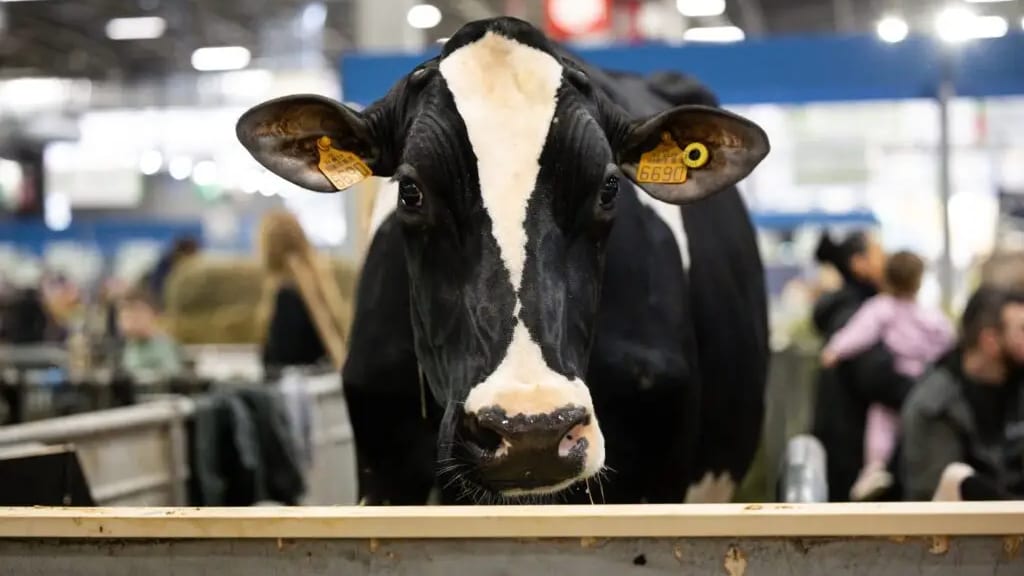 Gers : pourquoi le Département renonce au Salon de l’agriculture 2025