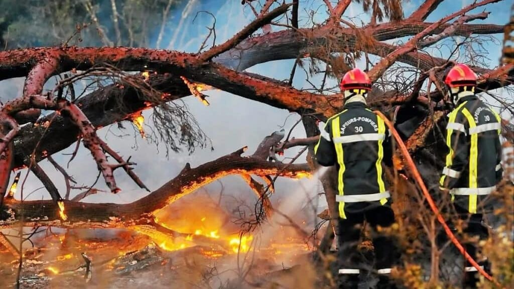Météo : fort vent, attention au risque très sévère d’incendies !