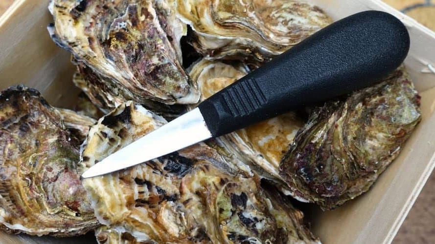 Hérault : la Conch’Party, initialement prévue ce dimanche, reportée au 24 mai