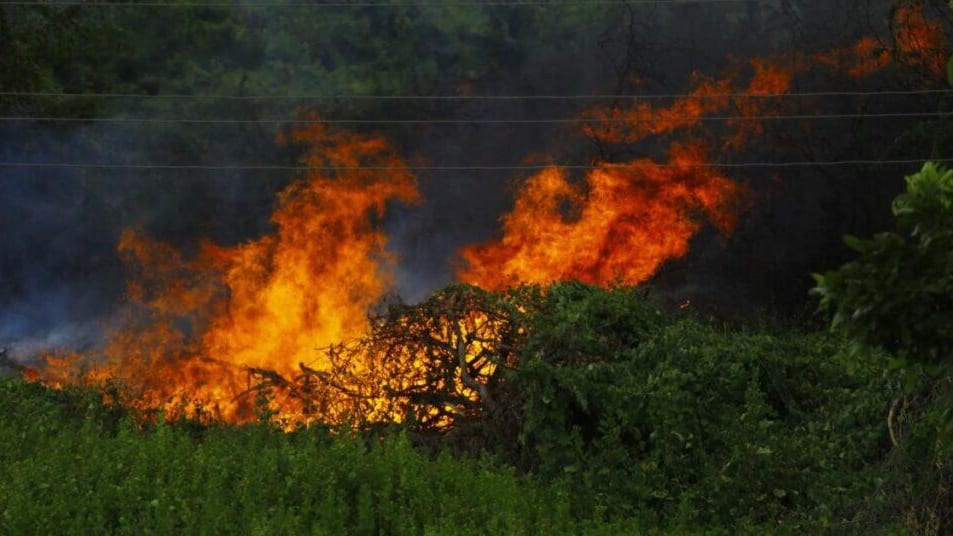 Gard : trois hectares de végétation ravagés par un incendie entre Alès et Nîmes