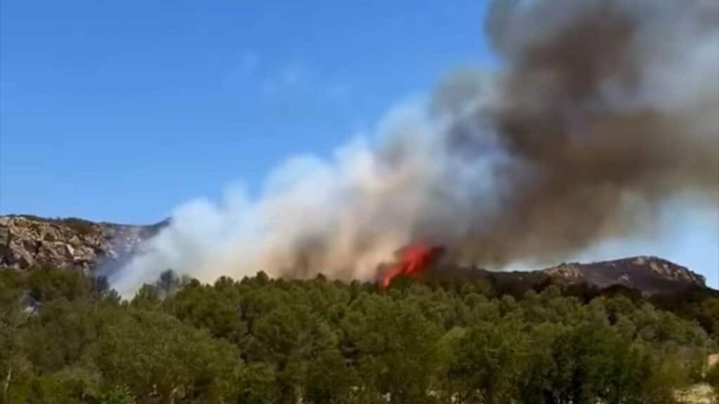 Violents incendies dans l’Aude : 400 hectares ravagés, 300 pompiers mobilisés
