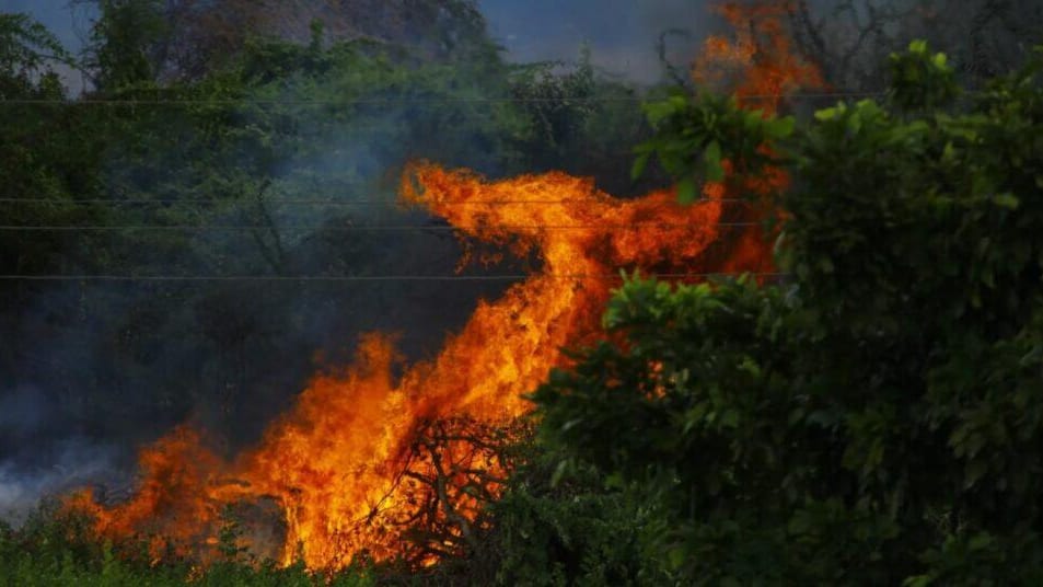 Hérault : la Gardiole toujours placée en risque incendie « très élevée »