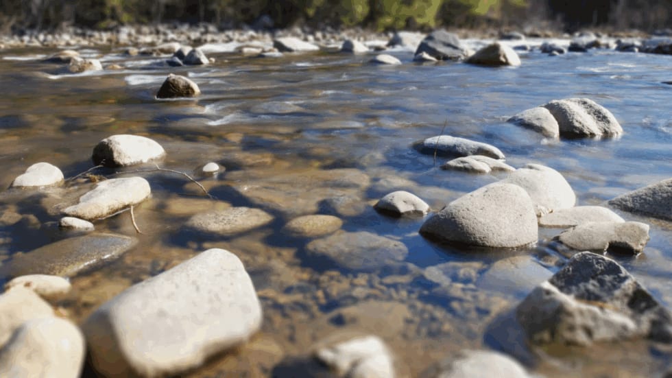 Lozère : cinq bassins versants majeurs placés en alerte sécheresse