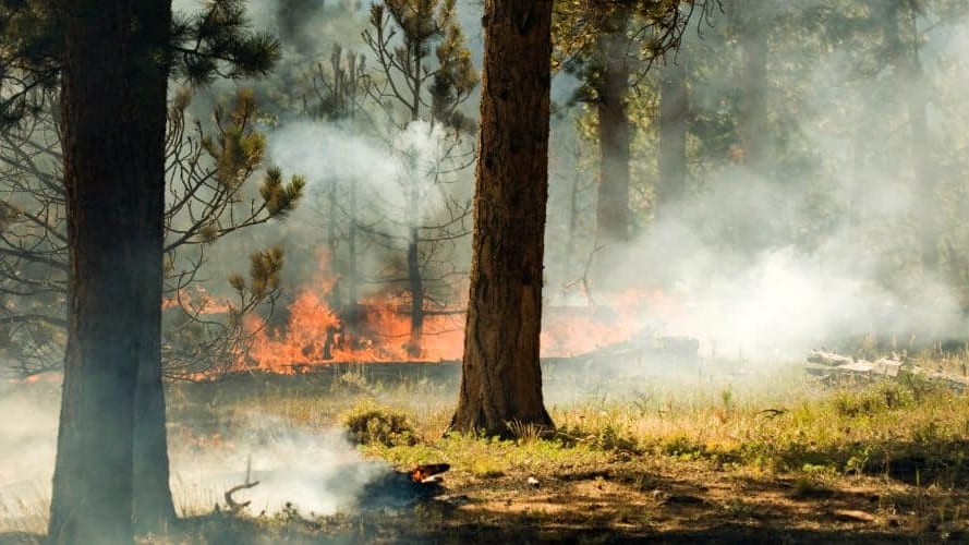 Nîmes : un jeune de 16 ans interpellé après un départ de feu