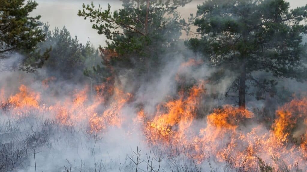 Feu dans le massif de la Gardiole : les dernières infos après les 400 hectares brûlés