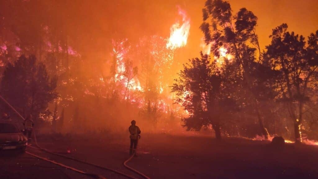 Aude : ouverture du fonds d’urgence pour les exploitations agricoles sinistrées