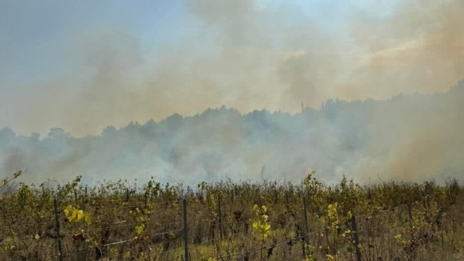 Hérault : incendie de végétation en cours à Montagnac