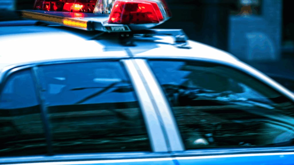 Alès : trois interpellations et saisie de cannabis, cocaïne et armes