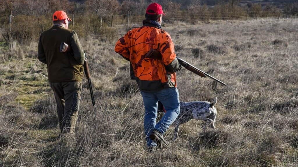 Hérault : un chasseur en urgence absolue après un tir accidentel ce dimanche