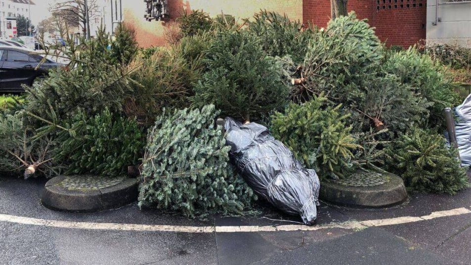 Nîmes : 96 parcs à sapins ouverts dans la métropole pour déposer son arbre après les fêtes
