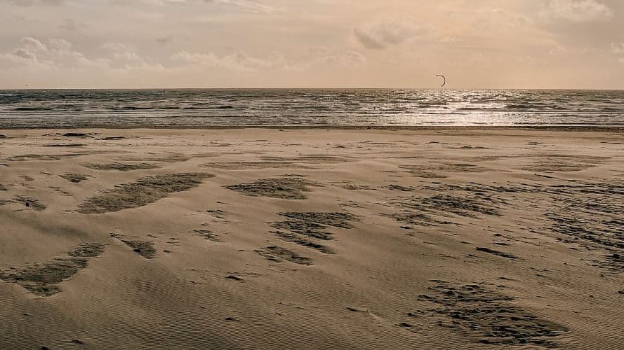 Un corps retrouvé sur une plage par des promeneurs