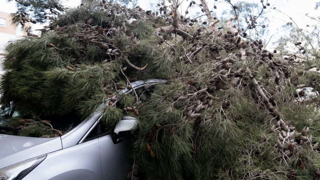 Météo : tempête Pedro, des dégâts à redouter ce jeudi en Occitanie