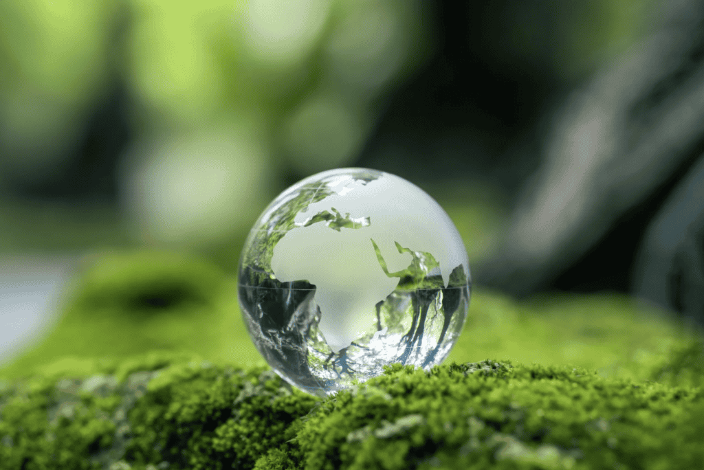 Occitanie : plus de 80 animations pour sensibiliser à l’écologie à l’UPVD