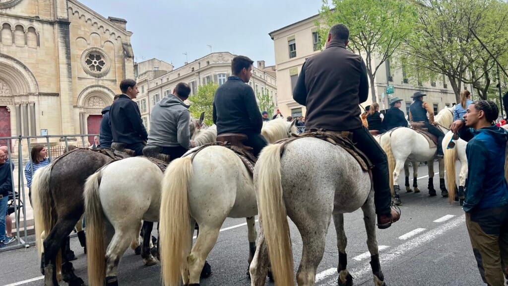 Linda Mansouri. Photo d'une abrivado à Nîmes