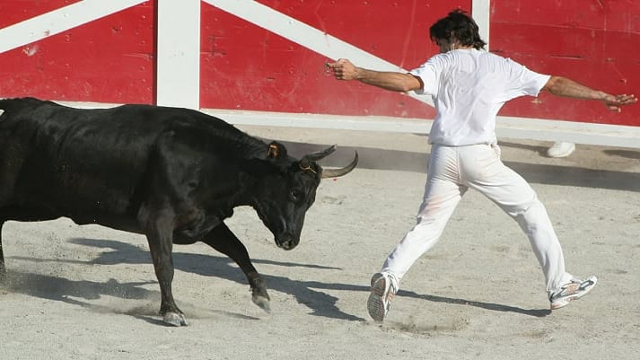 Grau-du-Roi : une course camarguaise dans les arènes ce samedi