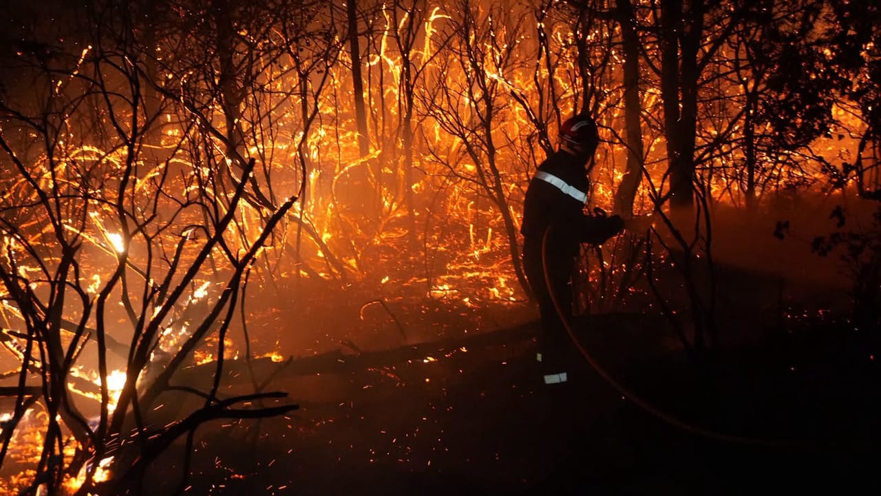 Sapeurs-pompiers du Gard / Crédit : Pierre Payan - Incendie à Pujaut