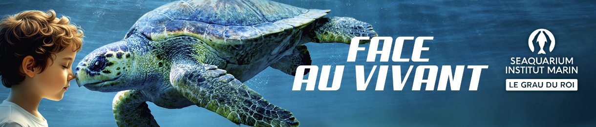 Publicité