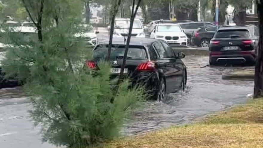Pluie Grau du Roi, 25 juillet.