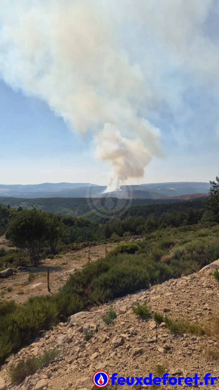 Feux de forêt / Incendie Prévenchères