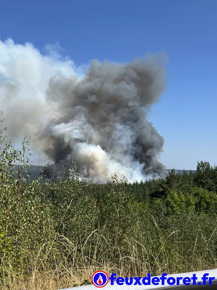 Feux de forêt / Incendie Prévenchères