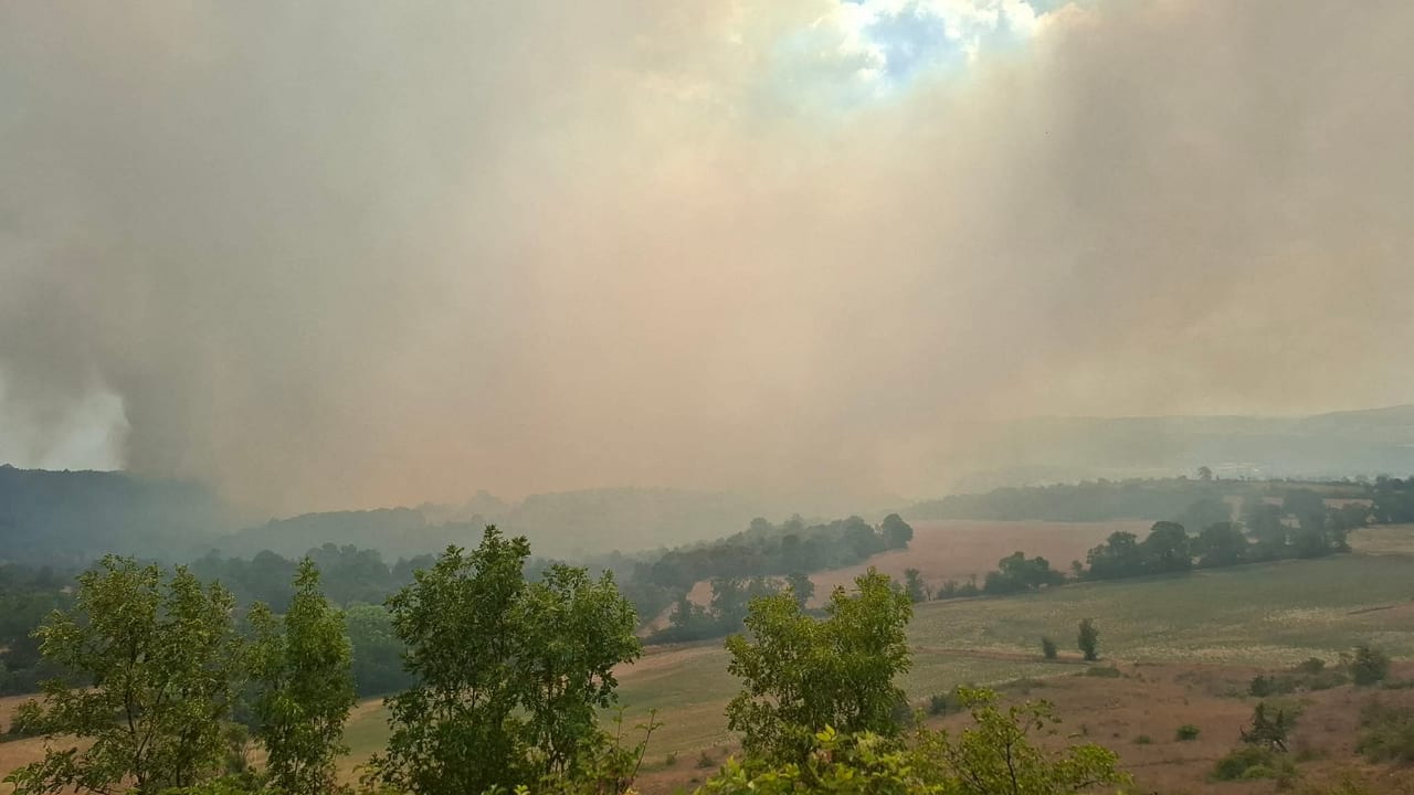 L'incendie est toujours en cours près de l'autoroute A75 - Crédit photo : Schumi Bousquet