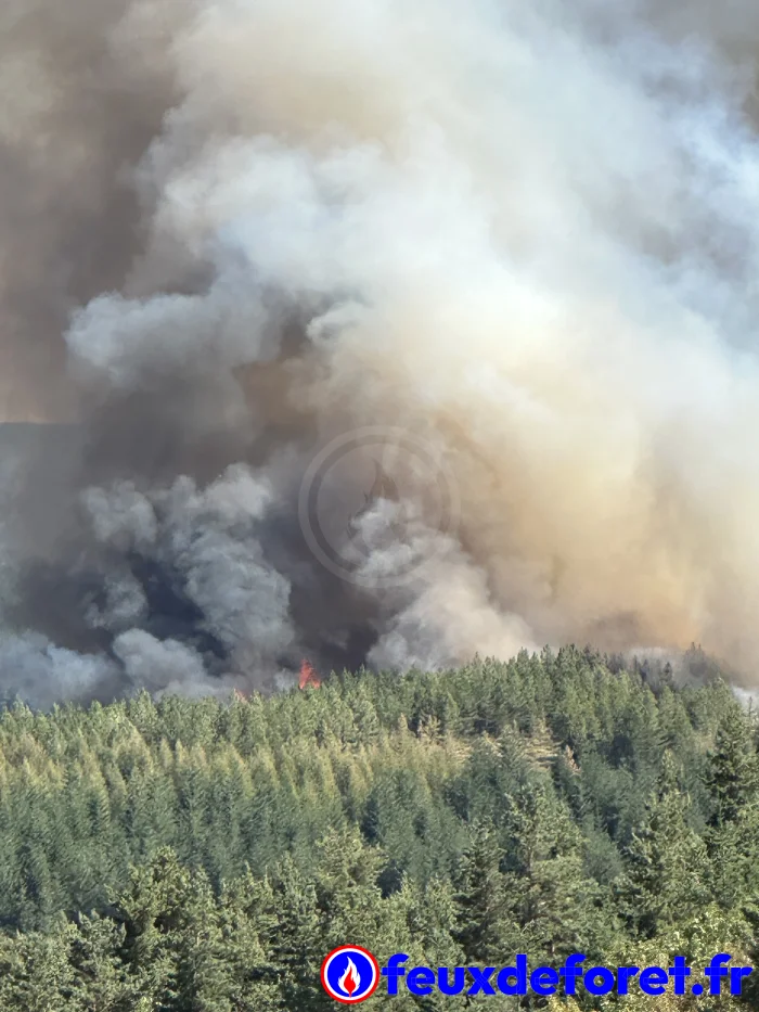 Feux de forêt / Incendie Prévenchères