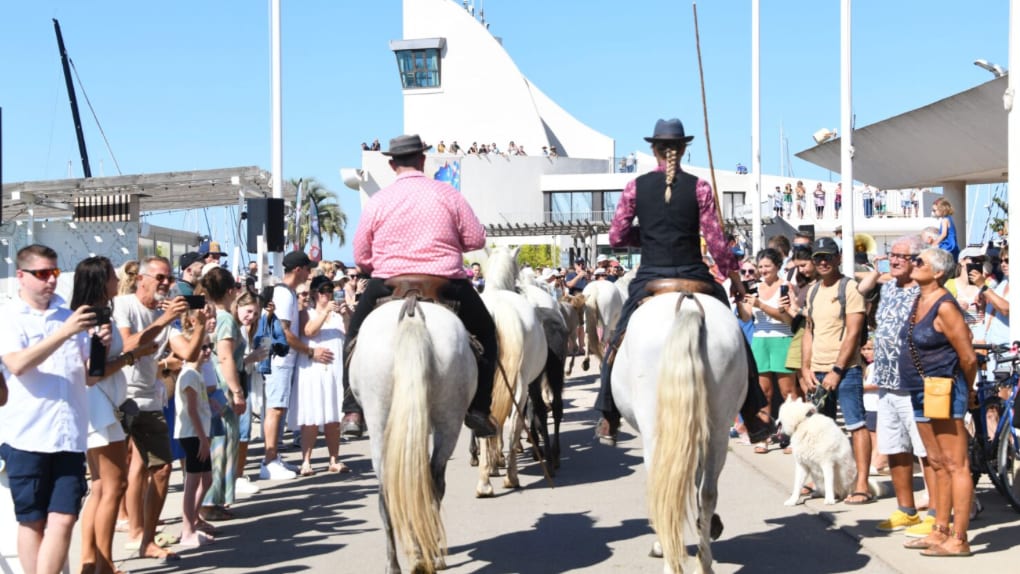 Grau-du-Roi : le port de plaisance en fête ce samedi. Photo DR