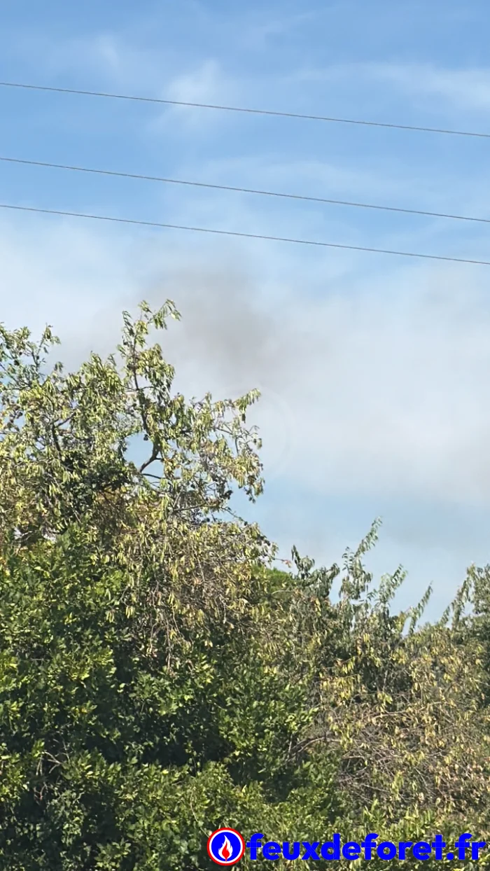 Feux de forêt / Incendie Valros