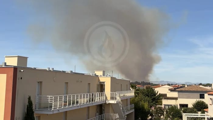 feuxdeforet.fr. Incendie près de Perpignan